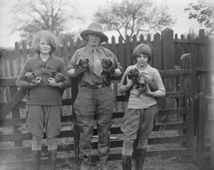 Viscountess starts poultry farm at London Road, Bromley Common, Kent. The Hon