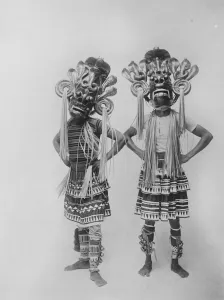The visit of the Prince of Wales to Ceylon. Some of the wonders of the Island