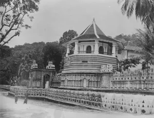 The visit of the Prince of Wales to Ceylon. Some of the wonders of the Island