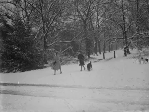 Walkers and their dogs enjoy the snow on Chislehurst Common, Kent. 1936