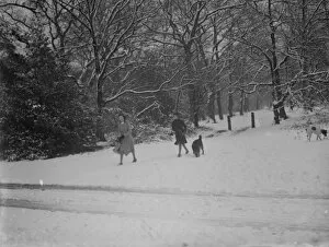 Pets Collection: Walkers and their dogs enjoy the snow on Chislehurst Common, Kent. 1936