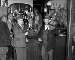 Watched by customers and the landlord Mr H Mills pouring out beer Ginger a 9 year