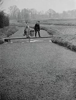 Couple Collection: The Watercress beds in Footscray, Kent cared for by Mr and Mrs Johnstone seen walking