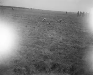 Leisure Prints: The Waterloo Cup at Altcar Three coursing hounds race for the hare 1921