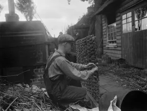 Weaving Prints: Wattle gate. 1937