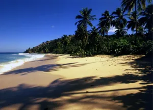 Caribbean Prints: West indies Antigua Galley Bay