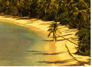 Paradise Prints: West Indies Antiqua Galley Bay