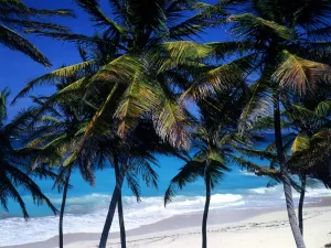 West Indies Barbados