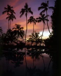 Evening Prints: West Indies Barbados West Coast Beach