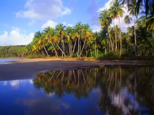 West Indies, Grenada. The beach at La Sagesse