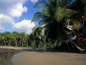 West Indies Grenada La Sagesse