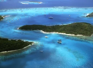 Tropical Island Prints: West Indies, The Grenadines