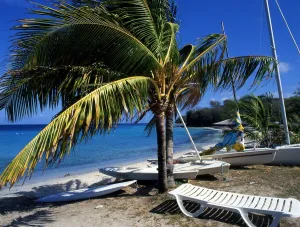 West Indies Grenadines Moustique