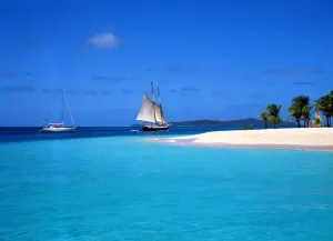 Natural Beauty Prints: West Indies. Grenadines Palm Island