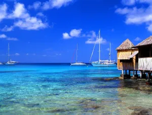 Natural Beauty Prints: West Indies Mustique