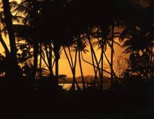 Landscapes Prints: West Indies. Tobago