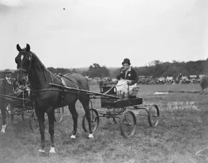 Traditional Prints: Westerham Hill Horse Show Mrs Raymond Phillips 1928 9 July 1926