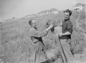 Houses Prints: Whale bone discovery in Sidcup, Kent. 1935