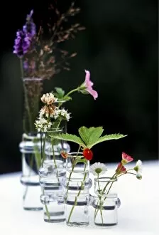 Grass Collection: Wildflowers in glass vases credit: Marie-Louise Avery / thePictureKitchen / TopFoto