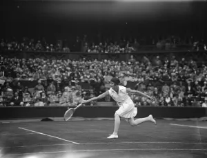 Wimbledon lawn tennis championships