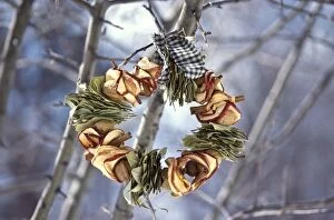 Leaves Collection: Winter wreath of dried apples and bay leaves and gingham ribbon, hanging outside