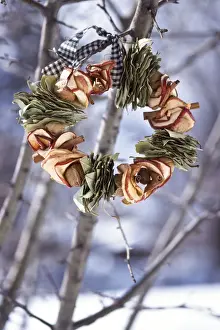 Winter wreath of dried apples and bay leaves and gingham ribbon, hanging outside