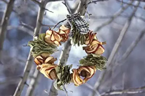 Blue Prints: Winter wreath of dried apples and bay leaves and gingham ribbon, hanging outside