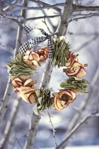 Winter wreath of dried apples and bay leaves and gingham ribbon, hanging outside