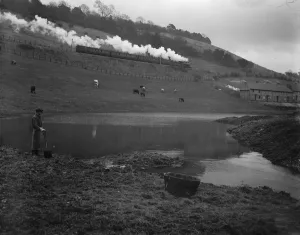Farmer Prints: Woe water flows, supposed to be prelude to some great national disaster. The Surrey