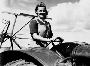 Ww2 Wwii World War Two Prints: A woman farm worker on self binding machine on the farm on the Sussex Downs. August