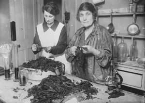 A womans invention The claim of Mrs Maud Dickenson to have discovered a new process