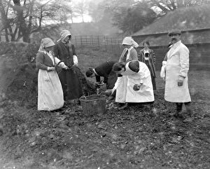 Farming Collection: Women farm workers at Sparsholt, Hampshire. 1914-1918
