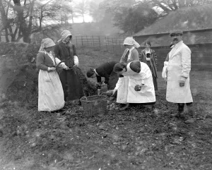 Farming Prints: Women farm workers at Sparsholt, Hampshire. 1914-1918