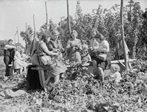 Girl Collection: Women hop pickers in Beltring, Kent. Each worker has a gas mask over their shoulder