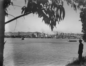 Trees Prints: Wonderful San Francisco. Recent view of the Golden Gate City of the Pacific. 23