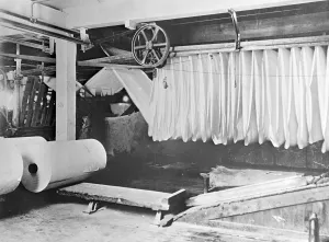 Pictorial Press Prints: Wool made from milk Synthetic wool fibres