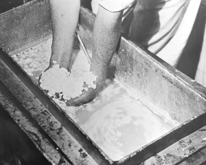 Wool made from milk Synthetic wool fibres