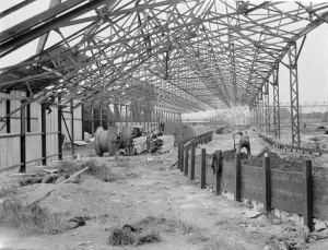 Work being done on the Crayford and Bexleyheath Greyhound Stadium in Kent, by builders