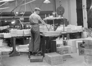 Fruit Prints: A worker weighing and packing apples into boxes at the Thomas Neame Fruit Farm in