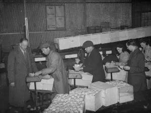Fruit Prints: Workers busily demonstrating packing fruit at the Fruit Farm in Swanley, Kent. 1938