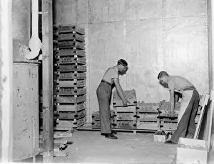 Fruit Collection: Workers load crates of fruit into cold storage. 1939