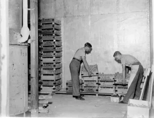 Fruit Prints: Workers load crates of fruit into cold storage. 1939