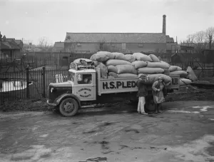 Workers are unloading sacks from a Bedford truck belonging to Pledge & Son Ltd