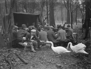 Workmen on their tea break feeding the swans during the reconstruction of the gardens