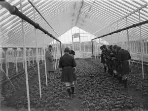 Green House Prints: Young women students take notes at a glass house demonstration at the Horticultural