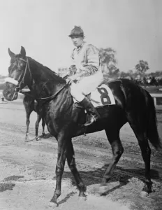 Zev ( Sande Up ) 15 October 1923